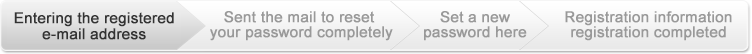 Entering the registered e-mail address